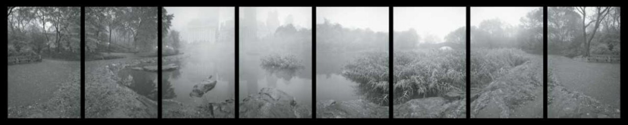 Pond Sanctuary, Central Park, Ny Poster Print by Allen Schill - Item # VARPDXAL101T